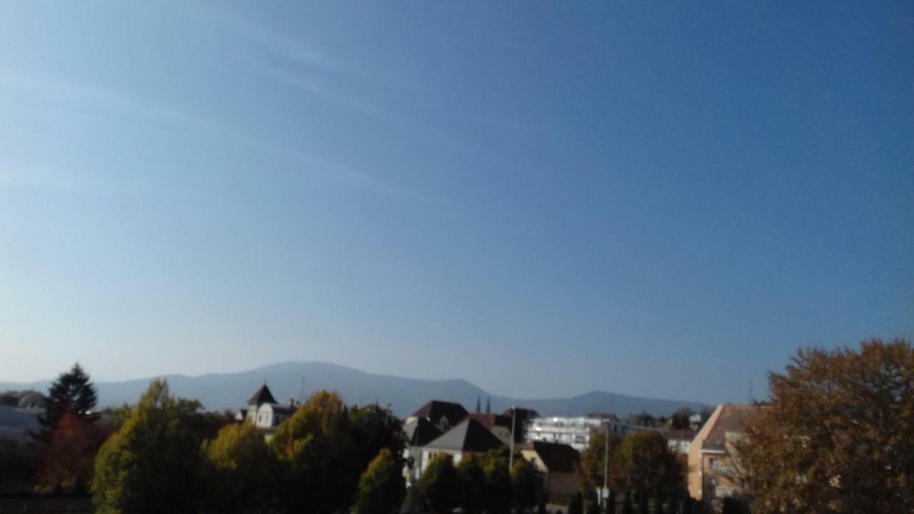 Le Nid Cosy Obernai, Terrasse, Garage, 3 Etoiles Hebergement De Tres Bon Confort