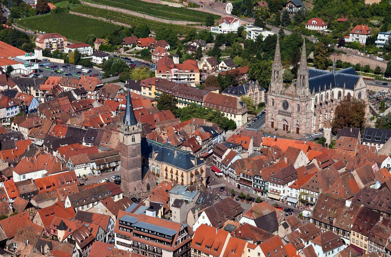 Apartment Le Nid Cosy Obernai, Terrasse, Garage, 3 Etoiles Hebergement De Tres Bon Confort